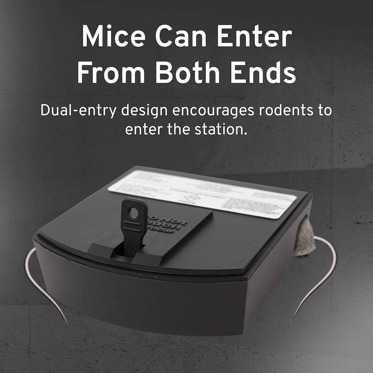 Victor Fast-Kill Refillable Mouse Poison Bait Station - Mouse Poisoning Bait - Mice Poisoning Station - Reusable Rodent Bait Stations 🍁 All In One Marketplace Canada