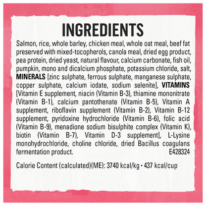 Beyond Superfood Blend Natural Dry Dog Food, Wild Caught Salmon, Egg & Pumpkin - 10.2 kg Bag 🍁 All In One Marketplace Canada