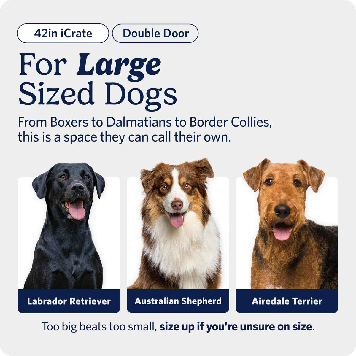 MidWest Homes for Pets 42-Inch iCrate for Large Breeds, 71-90 lbs, Double Door Folding Dog Crate with Divider Panel, Leak-Proof Tray & Secure Latches, Portable, Durable & Easy to Assemble 🍁 All In One Marketplace Canada