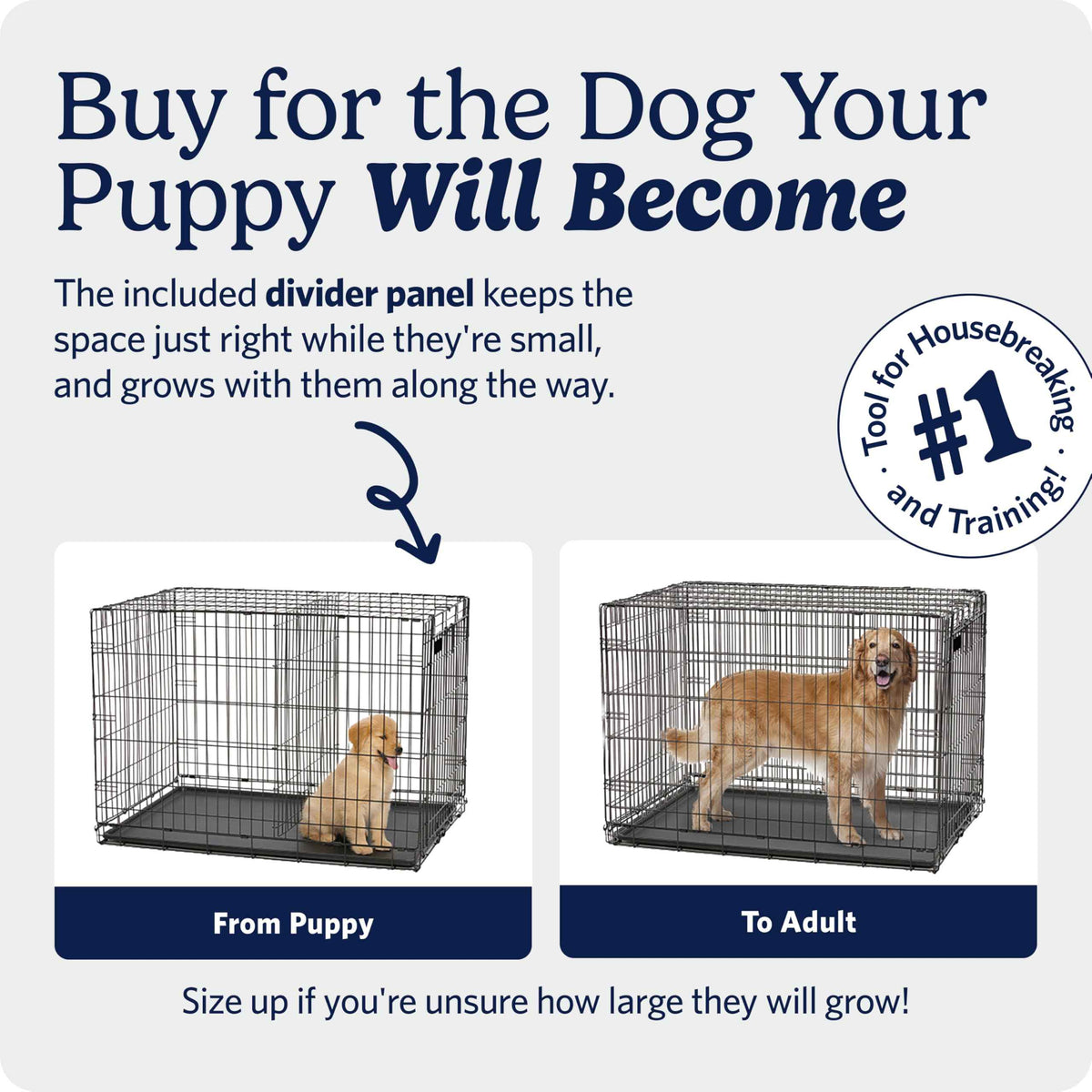MidWest Homes for Pets 42-Inch iCrate for Large Breeds, 71-90 lbs, Double Door Folding Dog Crate with Divider Panel, Leak-Proof Tray & Secure Latches, Portable, Durable & Easy to Assemble 🍁 All In One Marketplace Canada