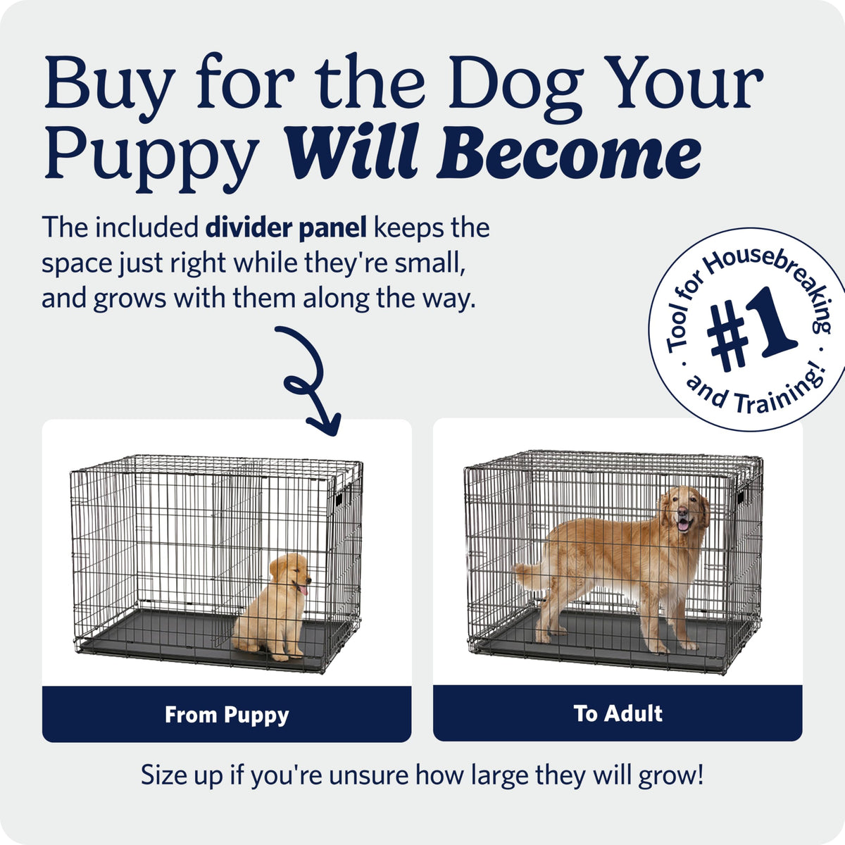 MidWest Homes for Pets 22-Inch iCrate for Extra-Small Breeds, Up to 15 lbs, Single Door Folding Dog Crate with Divider Panel, Leak-Proof Tray & Secure Latch, Portable, Durable & Easy to Assemble 🍁 All In One Marketplace Canada