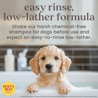 Burt's Bees for Puppies Natural Tearless 2 in 1 Shampoo and Conditioner | Made with Buttermilk and Linseed Oil | Best Tearless Puppy Shampoo for Gentle Skin and Coat | Made in USA, 16 Oz 🍁 All In One Marketplace Canada