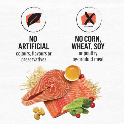 Beyond Simply Natural Dry Cat Food, Salmon & Whole Brown Rice - 2.72 kg Bag 🍁 All In One Marketplace Canada