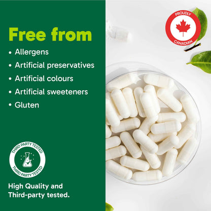 Organika Nattokinase 2000 FU Cardiovascular Support – High-Potency, Heart & Blood Circulation Supplement– One Capsule per Day, Non-GMO, Vegan, Gluten-Free – 90vcaps 🍁 All In One Marketplace Canada