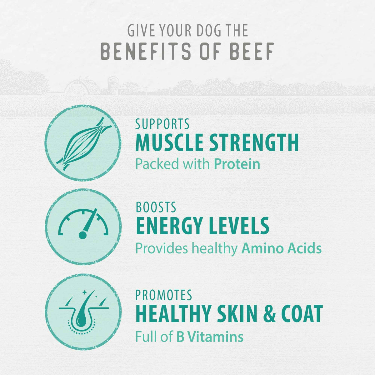 Caledon Farms, Value Pack Chewy Beef Sticks, 680 g, Dog Treats 🍁 All In One Marketplace Canada