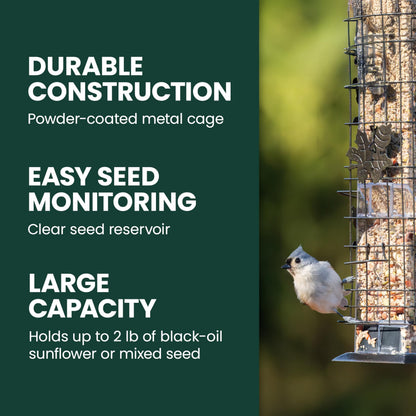 Perky-Pet 336-1SR Squirrel-Be-Gone Bird Feeder, 2LB Squirrel Proof Outdoor Wild Bird Feeder with Weight-Activated Perches 🍁 All In One Marketplace Canada