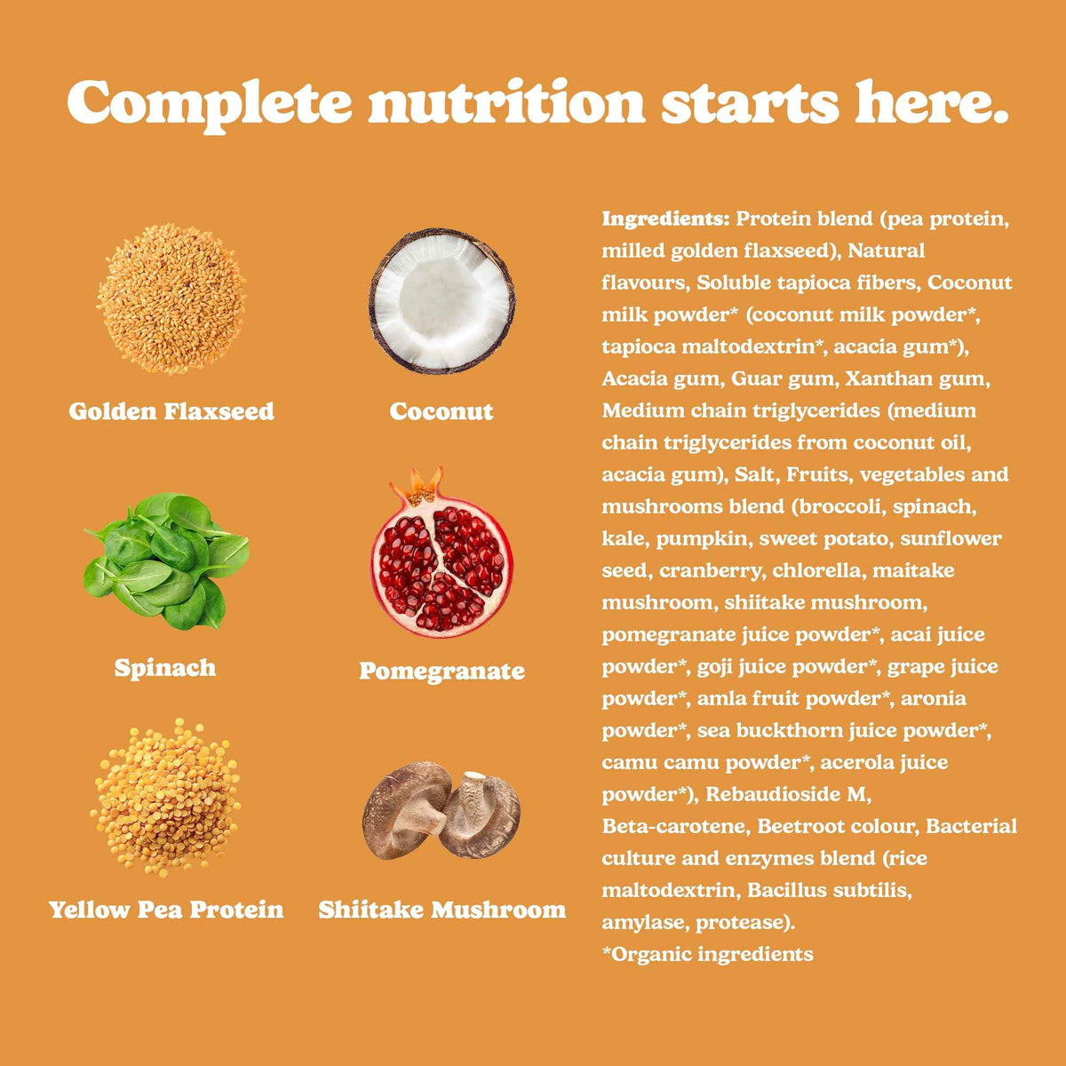 Good Protein Vegan Plant-based Protein Powder 100% Natural, Non-GMO, Dairy-free, Gluten-free, Soy-free, No Added Sugar and Nothing Artificial. Salted Caramel All-in-One Shake 440 grams 🍁 All In One Marketplace Canada