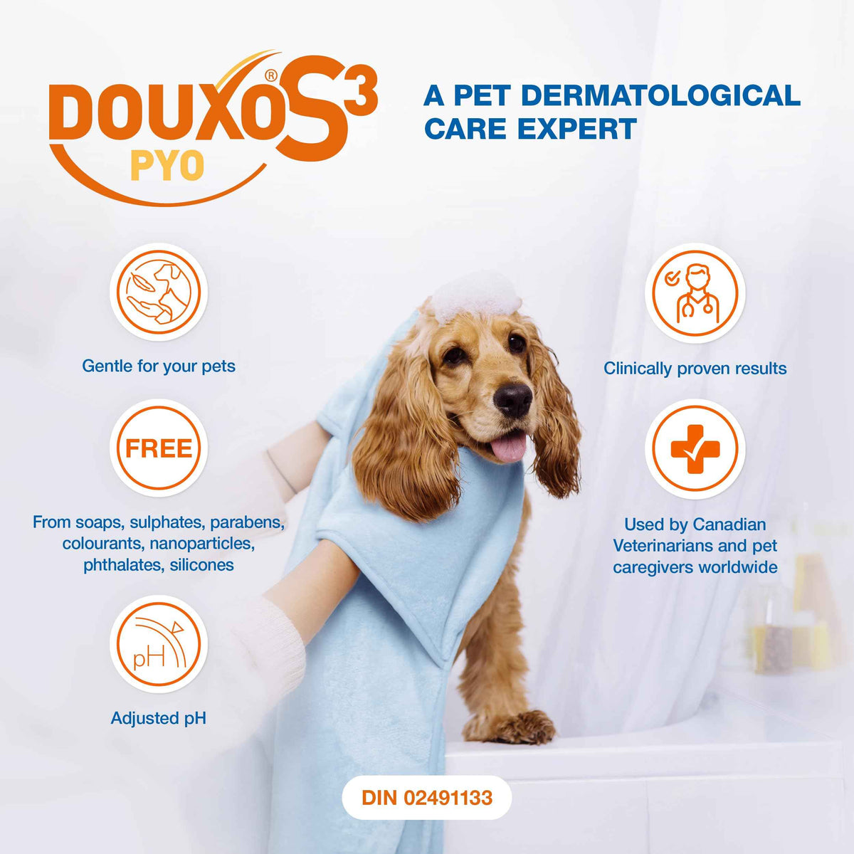 Douxo S3 Pyo Mousse, Contains 3% Chlorhexidine, for Dogs, 5.1 fl. oz. (150mL) 🍁 All In One Marketplace Canada