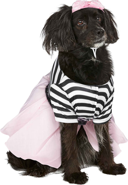 Rubies Costume Co Halloween Classics Collection Pet Costume, X-Large, 50s Girl Dress