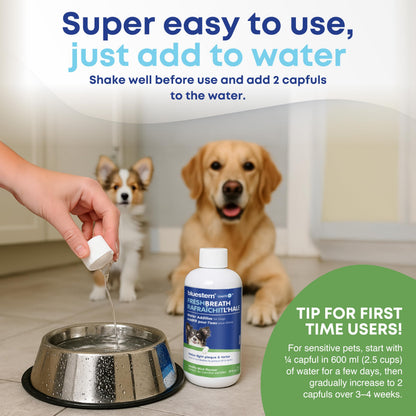 bluestem Dental Care Water Additive for Dogs – No Brushing Daily Teeth Cleaner – Pet Oral Rinse to Freshen Breath & Help Reduce Plaque – Flavorful & Easy Oral Hygiene (500 ml, Vanilla Mint) 🍁 All In One Marketplace Canada