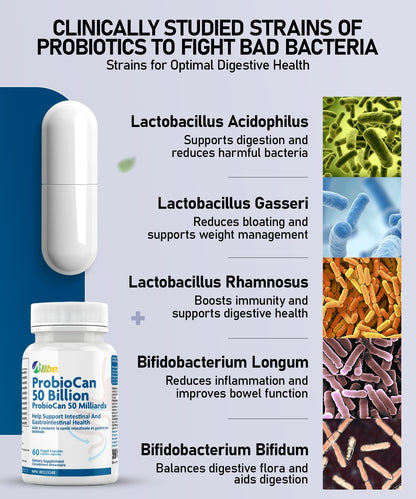 Allbe Probiotics for Men & Womens - 50 Billion CFU with 11 Strains, Lactobacillus, Acidophilus and L. Gasseri - Support Gut Health, Digestion, Weight Management and Bloating Relief - 60 Vegan Capsules, 1 Per Day 🍁 All In One Marketplace Canada