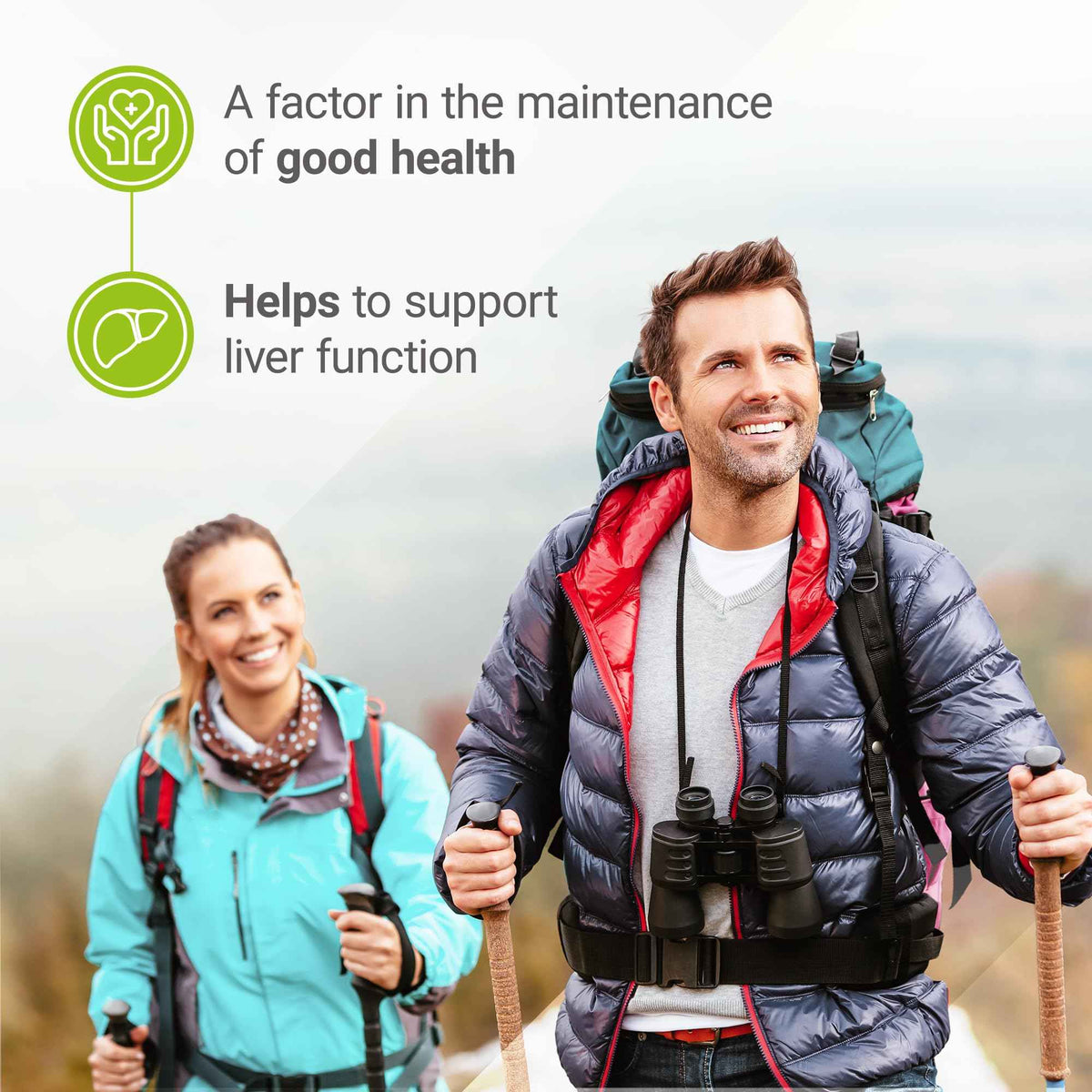 Nested Naturals Choline Bitartrate 500mg Per 2 Capsules | High Potency Choline Supplements | Supports Cognitive & Liver Function | 100% Vegan & Non-GMO Choline | 90 Vegan Capsules 🍁 All In One Marketplace Canada