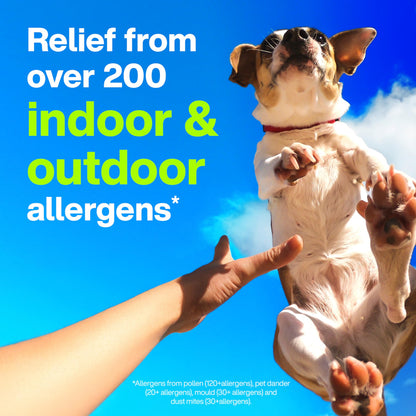 Claritin Allergy Medicine, 24-Hour Non-Drowsy Relief 10 mg, 20 Tablets 🍁 All In One Marketplace Canada