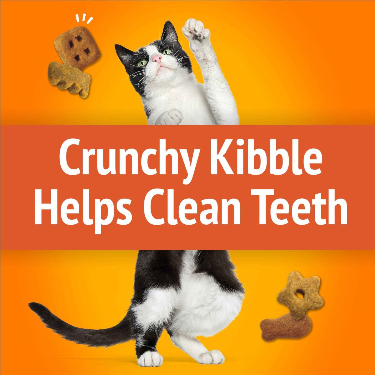 Friskies Party Mix Cat Treats, Original Crunch Chicken 510g (3 Pack) 🍁 All In One Marketplace Canada
