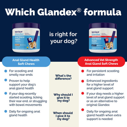 Vetnique Glandex Anal Gland Soft Chews for Dogs, Anal Gland Support, Boot The Scoot Fibre Supplement with Pumpkin, Unique Fiber Blend Probiotics & Digestive Enzymes (Peanut Butter, 60ct Chews) 🍁 All In One Marketplace Canada