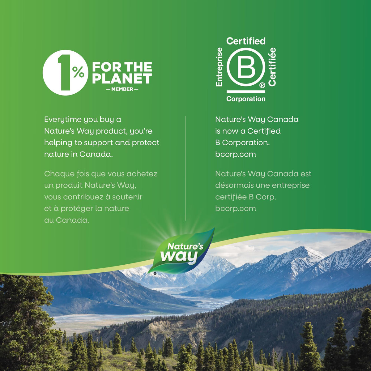 Nature’s Way Kelp - Iodine Supplement for Thyroid Support from Kelp - Non-GMO - 180 Vegetarian Capsules, Value Size 🍁 All In One Marketplace Canada