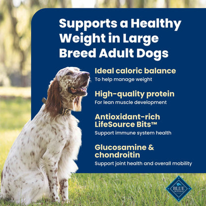 Blue Buffalo Life Protection Formula Chicken & Brown Rice Healthy Weight Large Breed Adult Dry Dog Food, Supports Immunity with LifeSource Bits, Promotes Healthy Lean Muscles,11.7kg/26 lbs 🍁 All In One Marketplace Canada