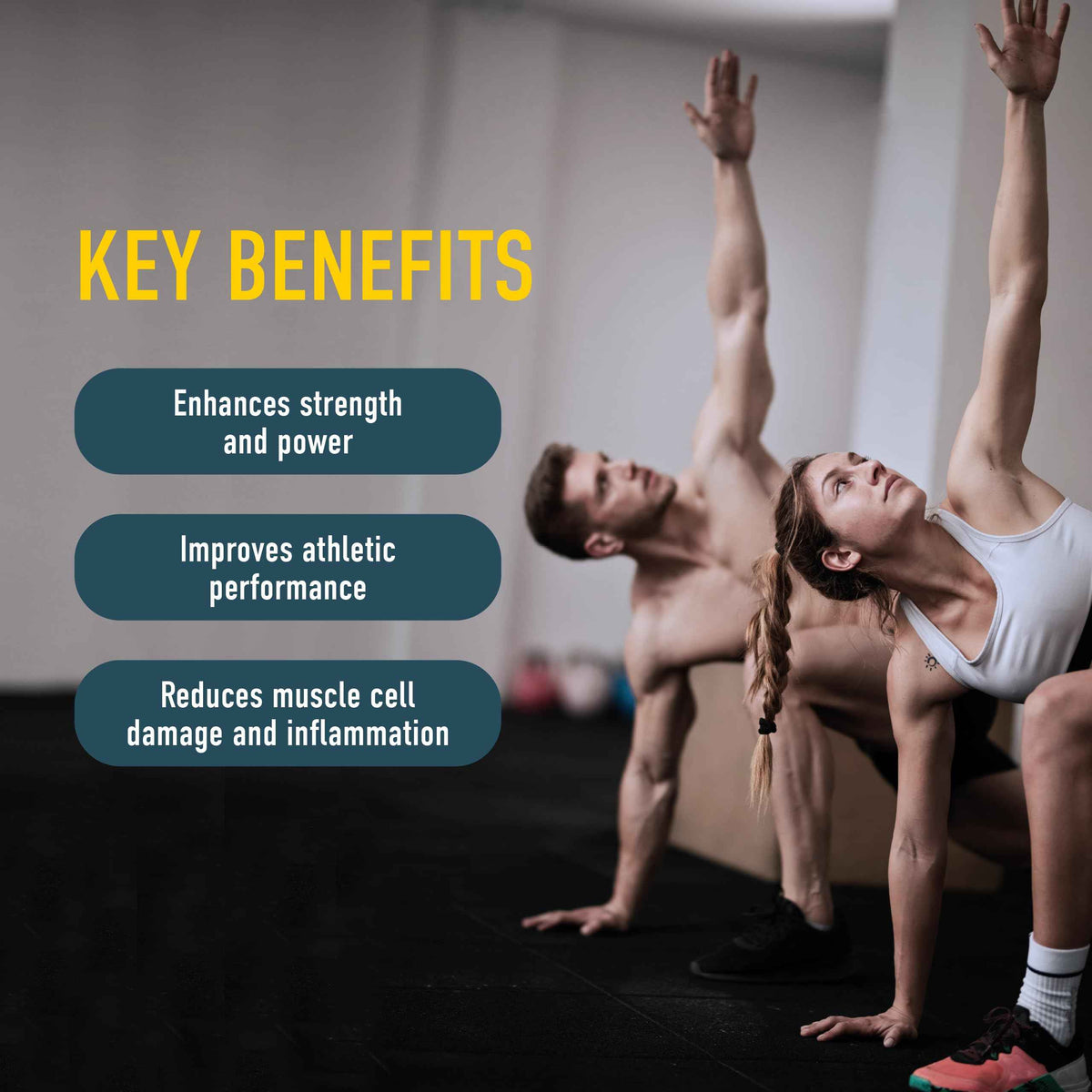 Organika Canadian-Made Creatine Powder- Pure Micronized Creatine Monohydrate - Helps Build Lean Muscle, Increase Strength, and Improved Recovery and Performance for Men and Women- 30 x 5g sachets 🍁 All In One Marketplace Canada