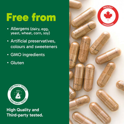 Organika Beef Liver Plus Choline- Sourced from Grass-Fed + Finished Cattle, Pasture Raised, High in Vitamins and Minerals, Supports Liver Function, Energy Levels, and Immunity- 90caps 🍁 All In One Marketplace Canada