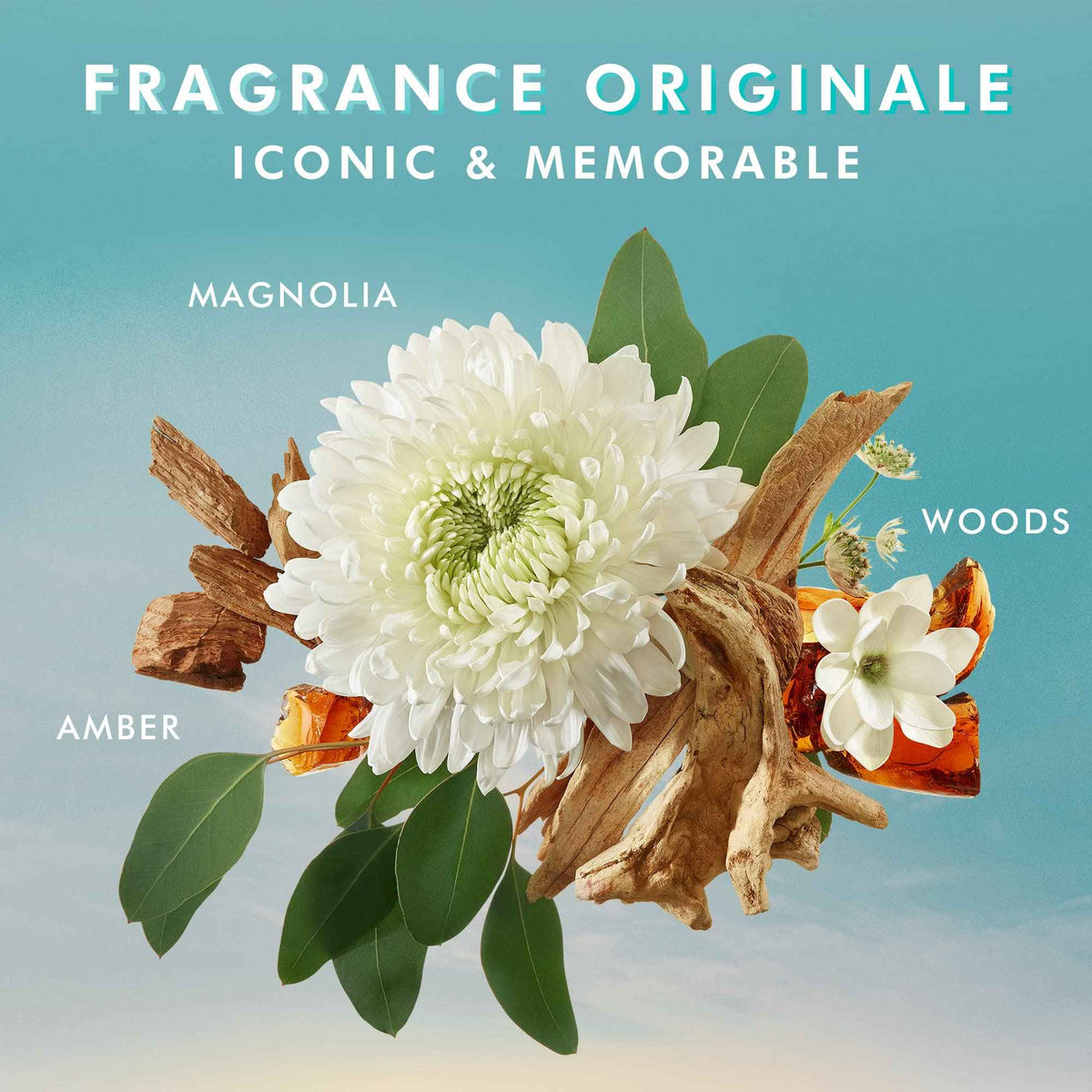 Moroccanoil Body Lotion, Fragrance Originale, 12.2 Fl. Oz. 🍁 All In One Marketplace Canada