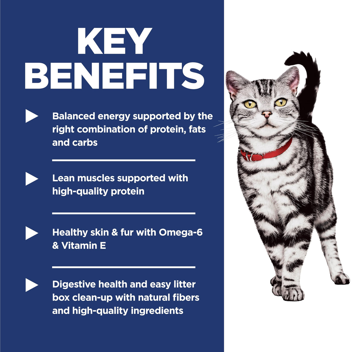 Hill's Science Diet Adult Indoor Chicken Recipe Dry Cat Food 3.17 kg Bag 🍁 All In One Marketplace Canada