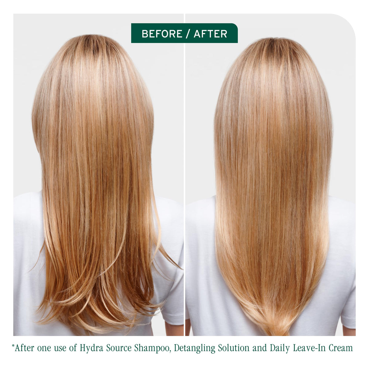 Biolage HydraSource Hydrating Shampoo for Dry Hair 🍁 All In One Marketplace Canada