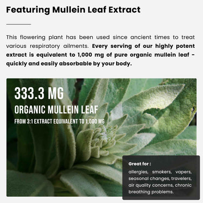 Organic Mullein Leaf Extract for Lungs - 4 Fl Oz - Herbal Tincture for Lung Cleanse & Flush - Natural Mullein Tea Alternative - Mullein Supplement Drops for Lungs - 1,000mg Equivalent Per Serving 🍁 All In One Marketplace Canada