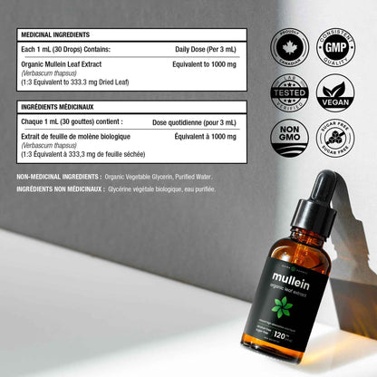 Organic Mullein Leaf Extract for Lungs - 4 Fl Oz - Herbal Tincture for Lung Cleanse & Flush - Natural Mullein Tea Alternative - Mullein Supplement Drops for Lungs - 1,000mg Equivalent Per Serving 🍁 All In One Marketplace Canada