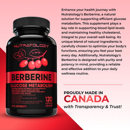 Nutratology® Berberine Supplement | Canadian-Made | Max Potency 500MG Per Capsule - Supports Glucose Metabolism & Healthy Blood Sugar Levels Through Efficient Metabolism Of Sugar & Fats - 120 Capsules 🍁 All In One Marketplace Canada