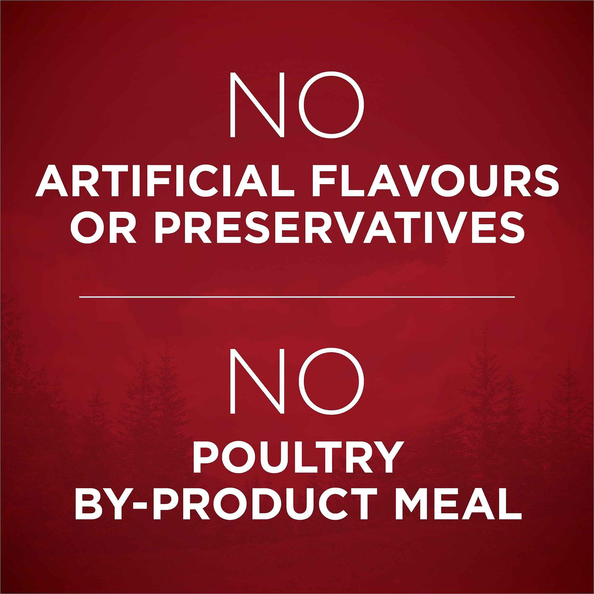 Purina ONE True Instinct High Protein Dry Dog Food, Turkey & Venison - 12.4 kg Bag (1 Pack) 🍁 All In One Marketplace Canada