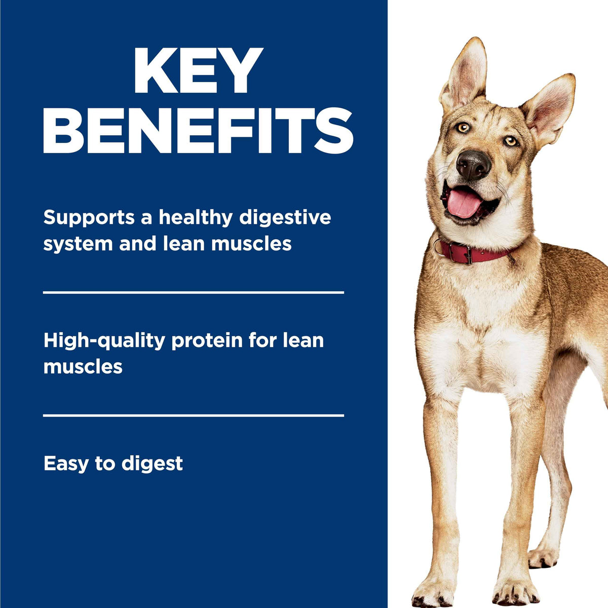 Hill's Science Diet Adult 1-6, Premium Nutrition, Wet Dog Food, Beef & Vegetables Stew, 12.8 oz Can, Case of 12 🍁 All In One Marketplace Canada