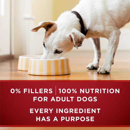 Purina ONE True Instinct Wet Dog Food, Tender Cuts Variety Pack (12 Pack) 🍁 All In One Marketplace Canada