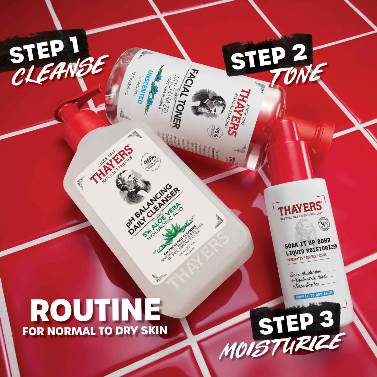 THAYERS Soak It Up 80HR Liquid Moisturizer, with HYALURONIC ACID and Snow Mushroom, Dermatologist Tested Skin Care for Normal to Dry Skin, Lightweight Formula, 75 ml 🍁 All In One Marketplace Canada