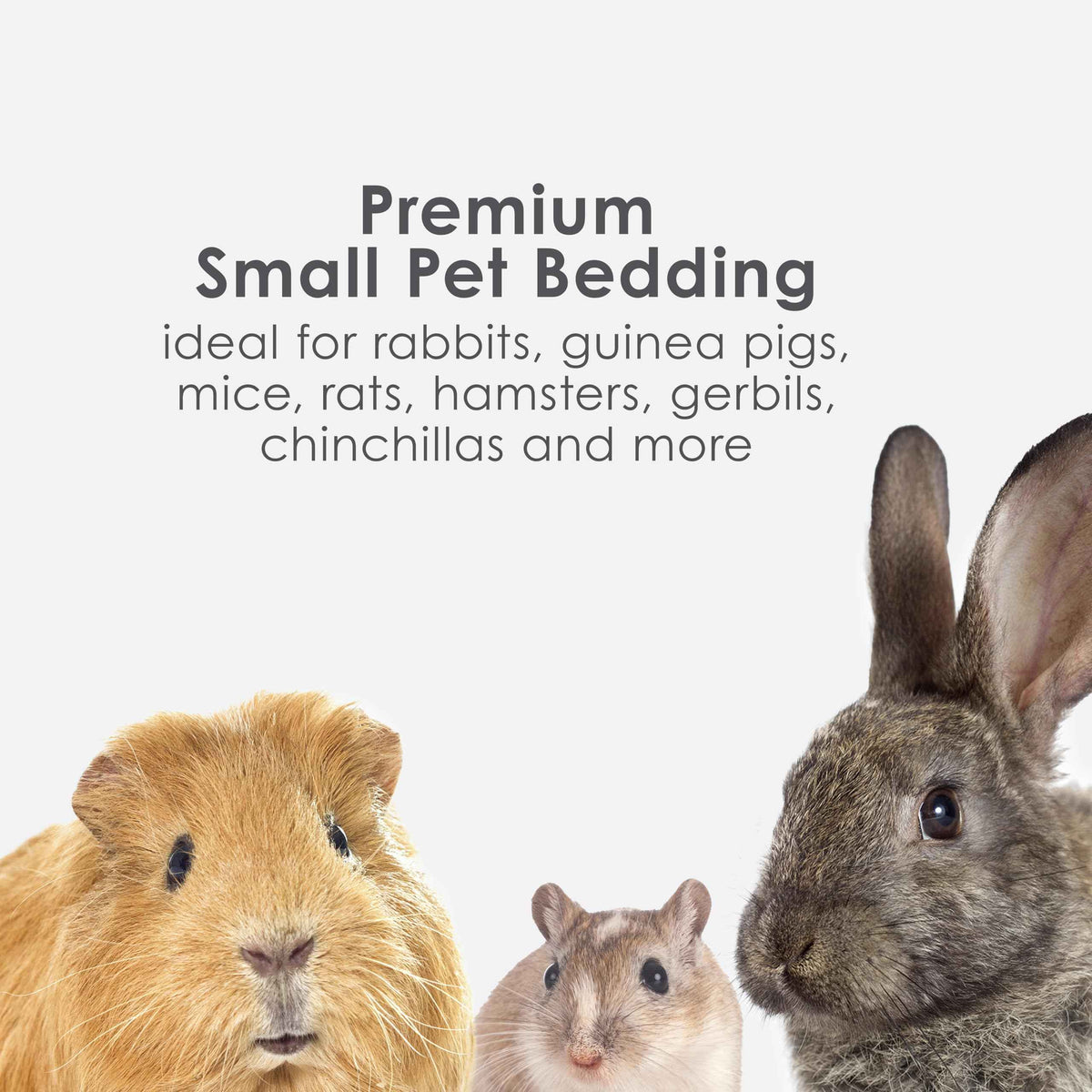 Kaytee Clean & Cozy Natural Small Animal Bedding, Expands to 49.2L 🍁 All In One Marketplace Canada