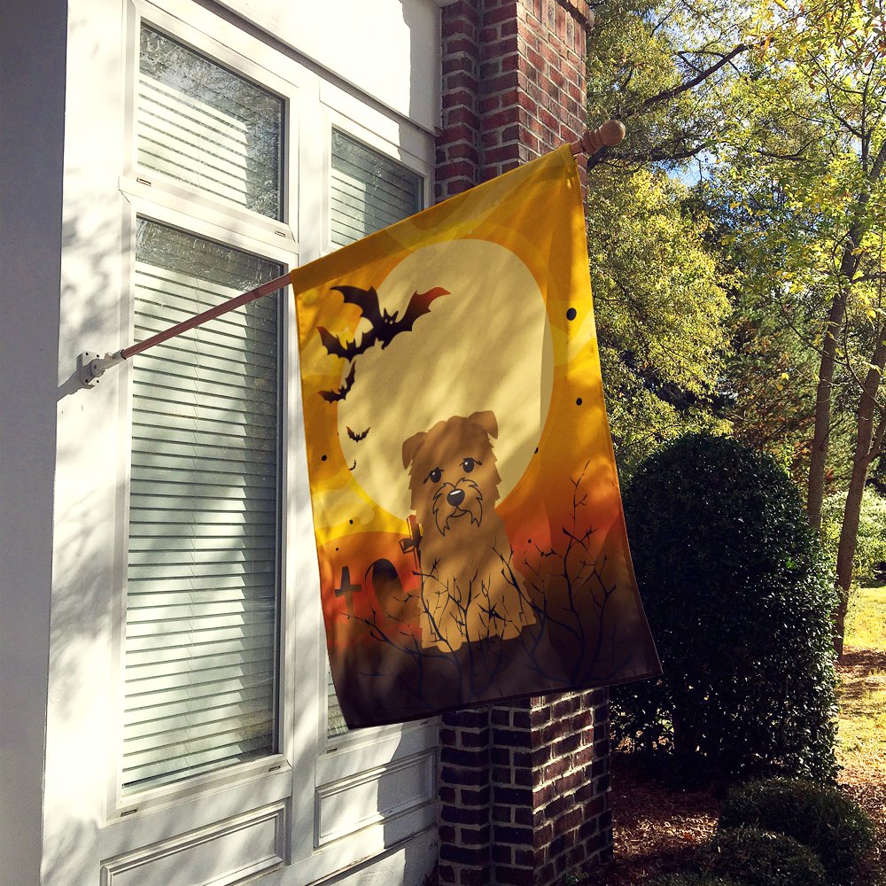 Caroline's Treasures BB4326CHF Halloween Glen of Imal Tan Flag Canvas House Size, Large, Multicolor
