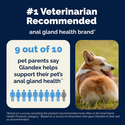 Glandex Anal Gland Soft Chew Treats with Pumpkin for Dogs Chews with Digestive Enzymes, Probiotics Fiber Supplement for Dogs – Vet Recommended - Boot The Scoot (Peanut Butter, 120ct Chews) 🍁 All In One Marketplace Canada