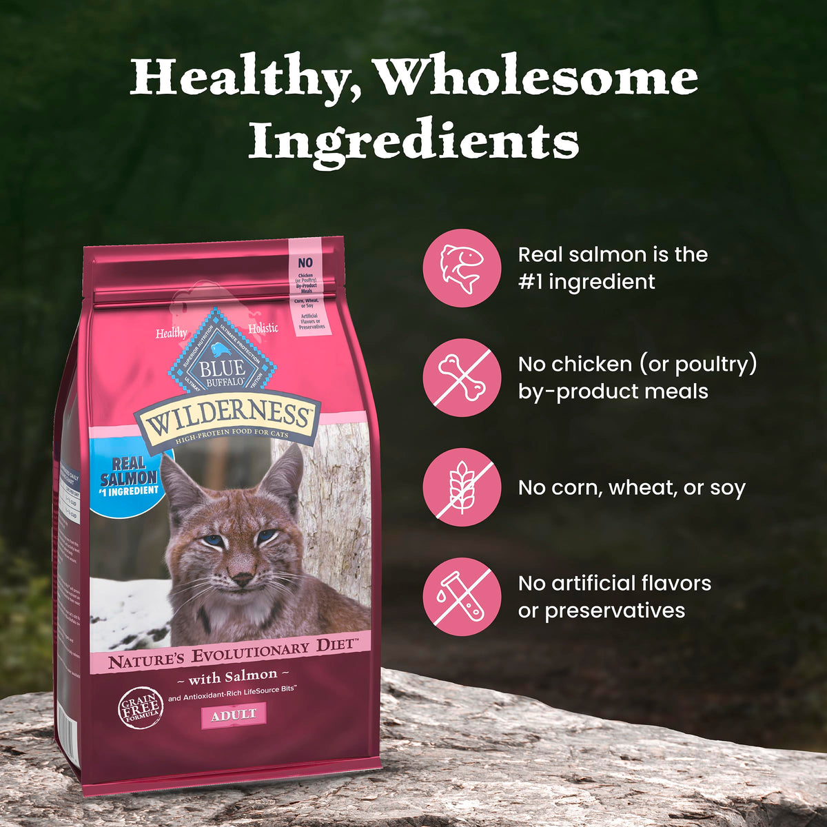 Blue Buffalo Wilderness with Salmon Natural High-Protein Grain-Free Dry Food for Adult Cats, Real Salmon First, Antioxidant-Rich LifeSource Bits Support Immunity, Promotes Strong Muscles,11 lbs. 🍁 All In One Marketplace Canada
