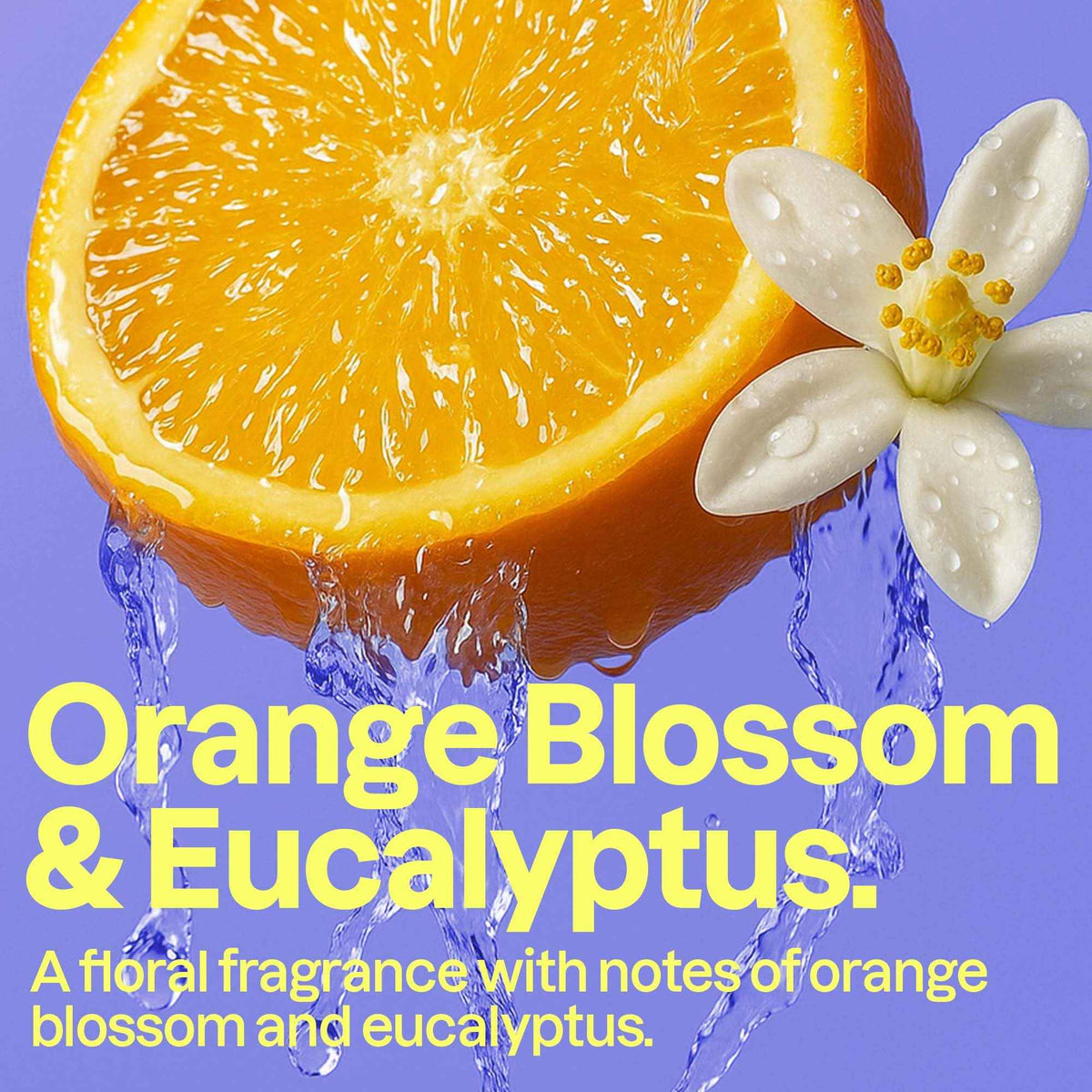 ATTITUDE Foaming Hand Soap, EWG Verified, Plant and Mineral-Based Ingredients, Vegan Personal Care Products, Orange Blossom & Eucalyptus, 295 mL (Pack of 3) 🍁 All In One Marketplace Canada