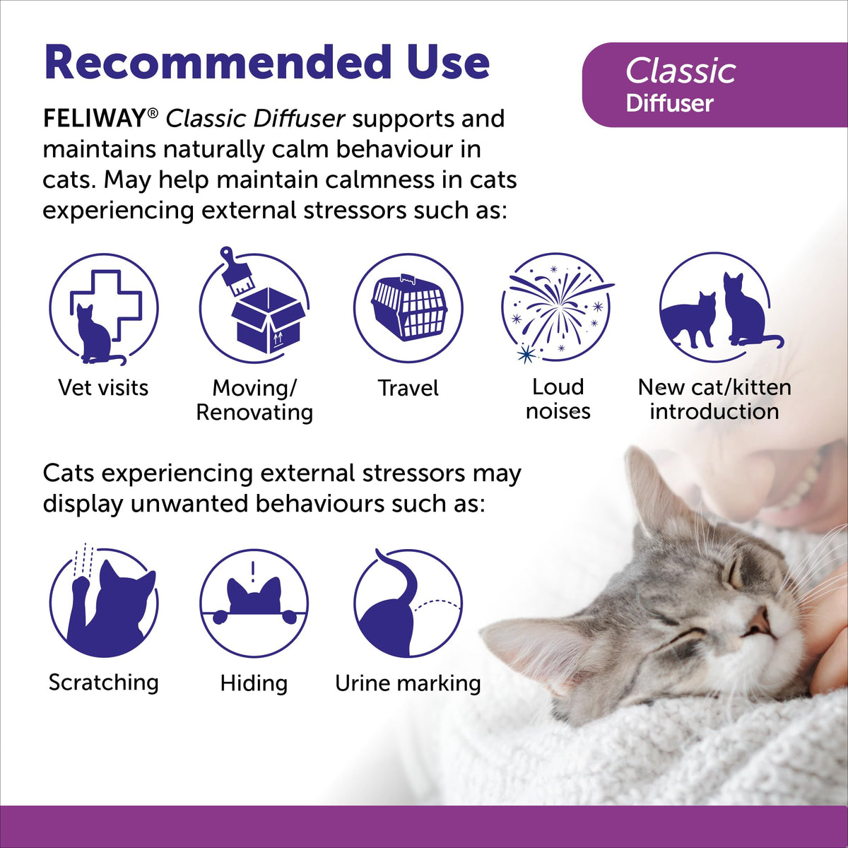 FELIWAY Classic Starter Kit, Promotes Calmness in Cats & Kittens, VHP Registered NN.P4B8, includes 1 Diffuser and 1 Refill, Lasts 30 Days, Cat Calming Pheromones, 48ml 🍁 All In One Marketplace Canada