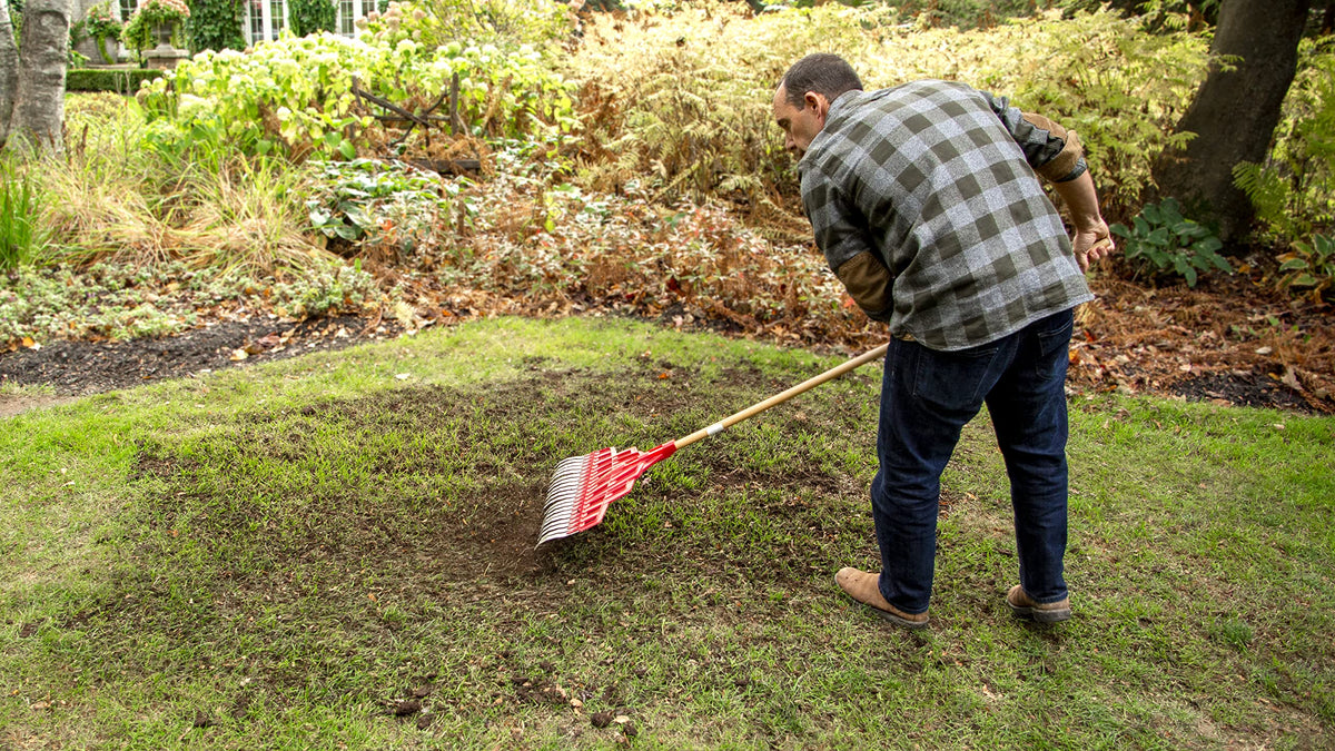 Scotts Turf Builder Quick + Thick Grass Seed (Sun and Shade Mix) - 4 kg |(576 sq Meters / 6,210 sq feet Coverage) Grow a Thick, Green Lawn Fast. for Areas that Experience Sun & Shade 🍁 All In One Marketplace Canada