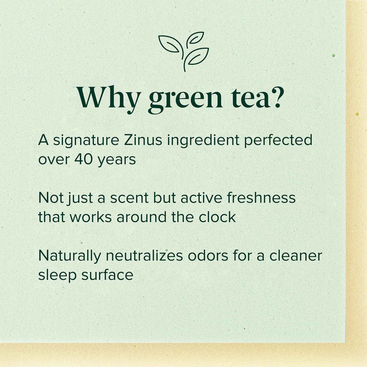 Zinus Twin Mattress - 6 Inch Green Tea Infused Memory Foam Mattress, Mattress in a Box, CertiPUR-US Certified Foam with Pressure Relief, 10-Year Warranty, Twin Size 🍁 All In One Marketplace Canada