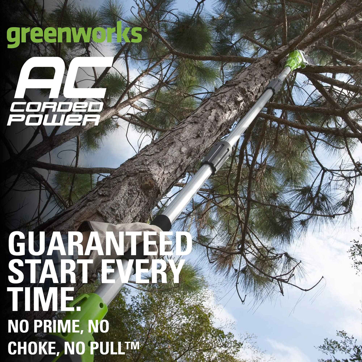 Greenworks 20192 8.5-Inch 6.5 Amp Electric Corded Pole Saw, Green 🍁 All In One Marketplace Canada