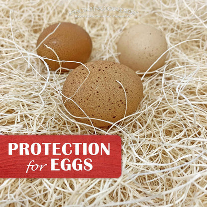 Nest Box Pads for Chicken Nesting Boxes - 13 x 13 Pads Made in USA from Sustainably Sourced Aspen Excelsior (5 Pack) 🍁 All In One Marketplace Canada