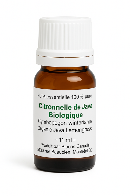 Citronnelle de Java biologique