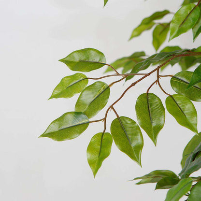Bea Artificial Ficus Potted Plant 6.5’