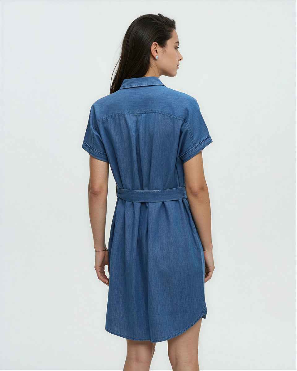Denim Tern Dress