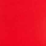 Colorplan 12X12 Cardstock 100#CV - 10 Sheets