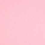 Colorplan 12X12 Cardstock 100#CV - 10 Sheets