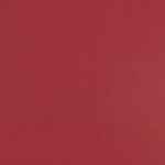Colorplan 12X12 Cardstock 100#CV - 10 Sheets
