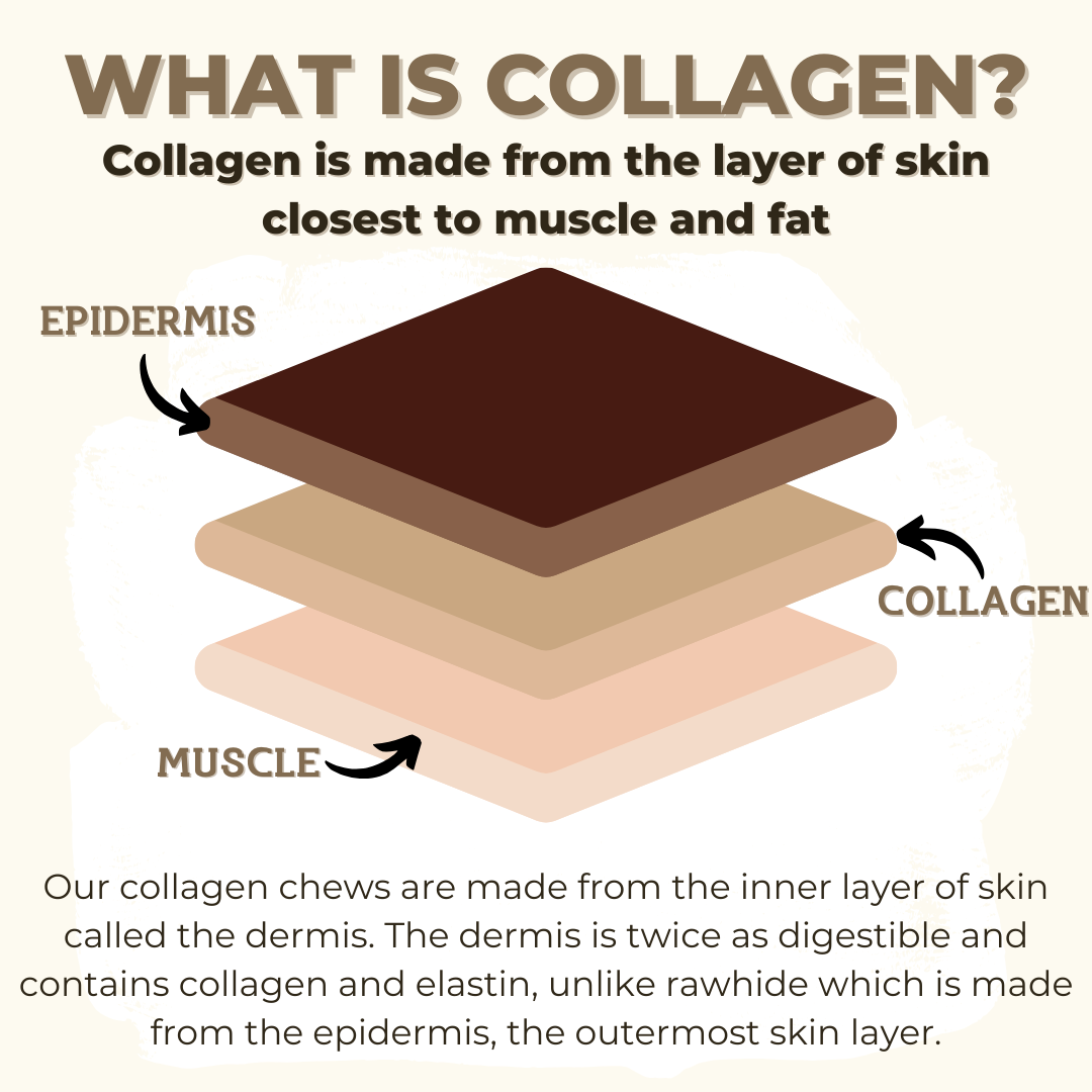 10-12 Inch Braided Collagen Stick